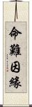 命難因緣 Scroll