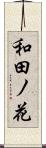 和田ノ花 Scroll
