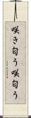 咲き匂う Scroll