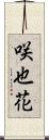 咲也花 Scroll