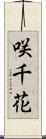 咲千花 Scroll