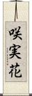 咲実花 Scroll