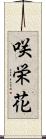 咲栄花 Scroll