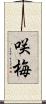 咲梅 Scroll