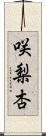 咲梨杏 Scroll