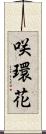 咲環花 Scroll