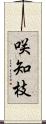 咲知枝 Scroll