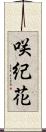 咲紀花 Scroll