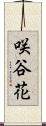 咲谷花 Scroll