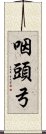 咽頭弓 Scroll