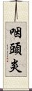 咽頭炎 Scroll