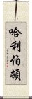 哈利伯頓 Scroll