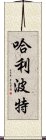 哈利·波特 Scroll