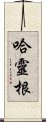 哈靈根 Scroll