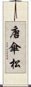 唐傘松 Scroll