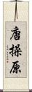 唐操原 Scroll