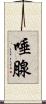 唾腺 Scroll