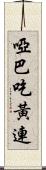 啞巴吃黃連 Scroll