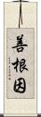 善根因 Scroll
