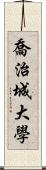 喬治城大學 Scroll