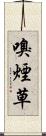 嗅煙草 Scroll