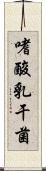 嗜酸乳干菌 Scroll