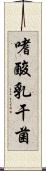 嗜酸乳干菌 Scroll