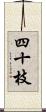 四十枝 Scroll