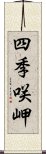 四季咲岬 Scroll