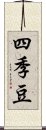 四季豆 Scroll