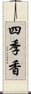 四季香 Scroll