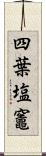 四葉塩竈 Scroll