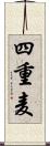 四重麦 Scroll