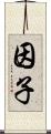 因子 Scroll