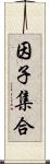 因子集合 Scroll