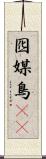囮 Scroll