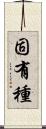 固有種 Scroll