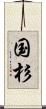 国杉 Scroll