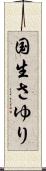 国生さゆり Scroll