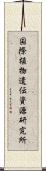 国際植物遺伝資源研究所 Scroll