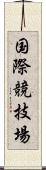 国際競技場 Scroll