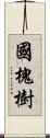 國槐樹 Scroll