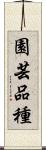 園芸品種 Scroll