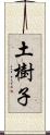 土樹子 Scroll