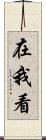 在我看 Scroll