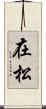 在松 Scroll