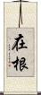 在根 Scroll