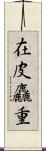 在皮麤重 Scroll