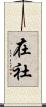 在社 Scroll