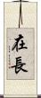 在長 Scroll